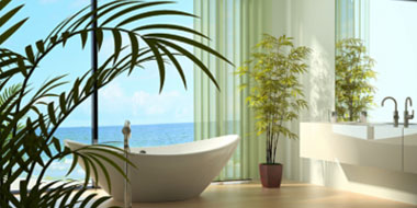 So green : Décorer sa salle de bain avec des plantes vertes